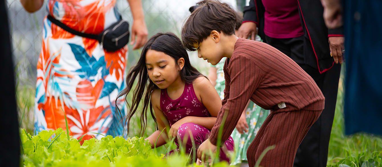 A brother and sister bend over a planting bed to examine the crops growing there.