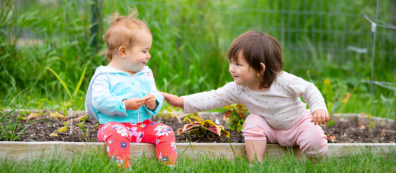 Two toddlers sit on the edge of a planting bed and laugh, the toddler on the right reaching out to the toddler on the left.