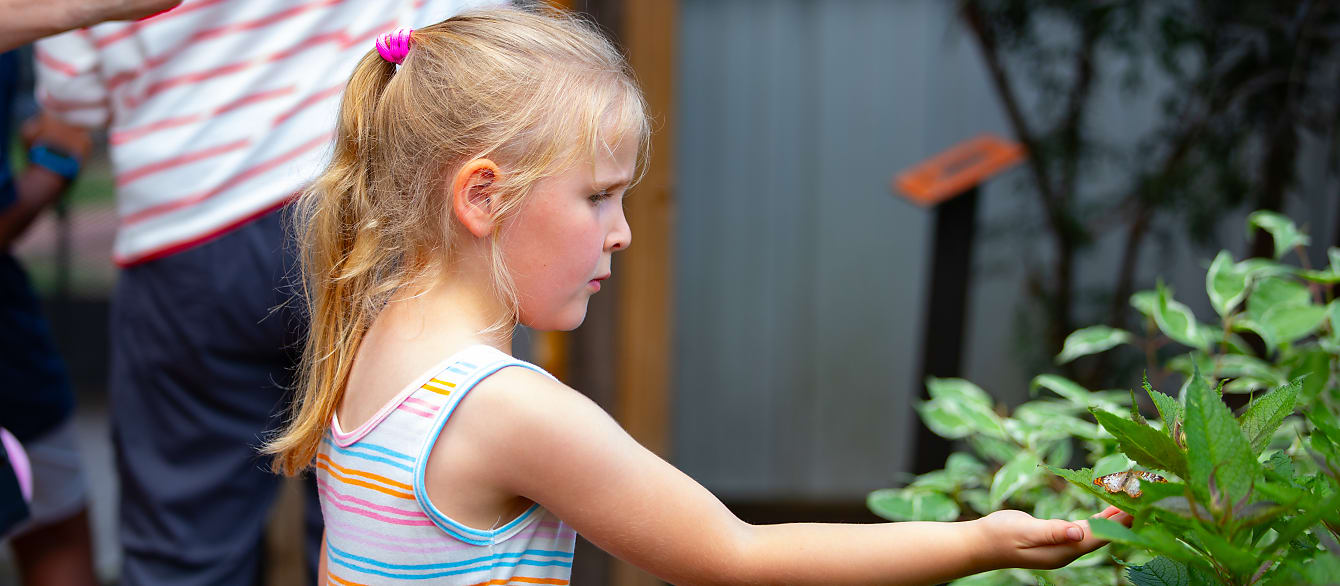 A young girl with blonde hair reaches into a bush to offer her hand to an orange butterfly.