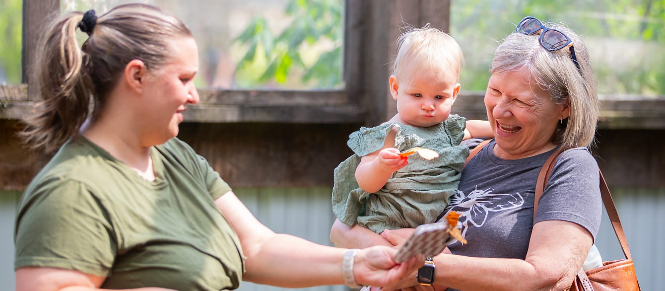 A baby in her grandmother's arms holding a paper butterfly is shown two real butterflies that landed on her mother's phone.