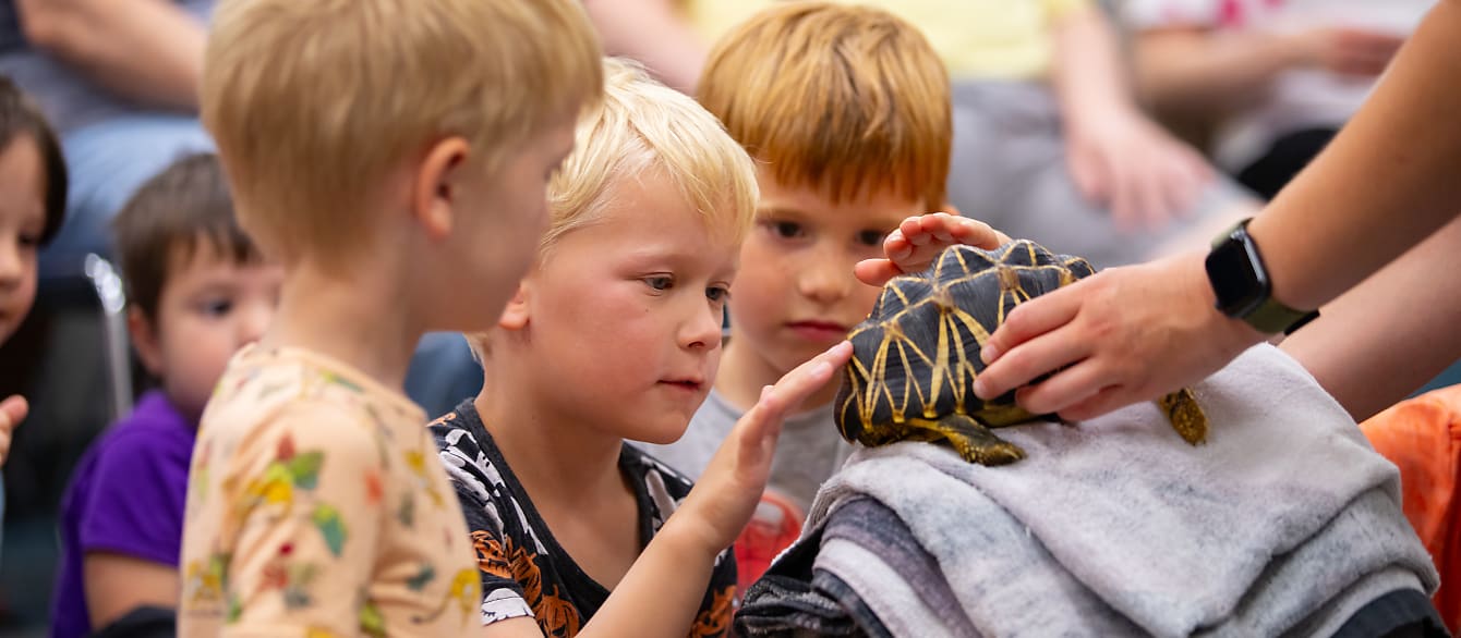 Three young boys stare at a turtle in wonder. The boy in the middle is gently patting its shell.