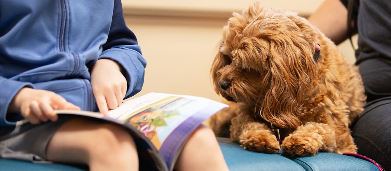A dog looks attentively at a book as a boy, face out of frame, points to a line to read.