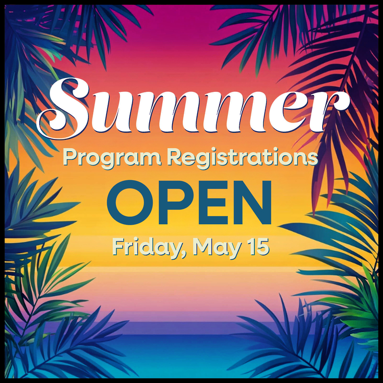 Sunset with Palm Trees - Summer Program Registreations Open May 15