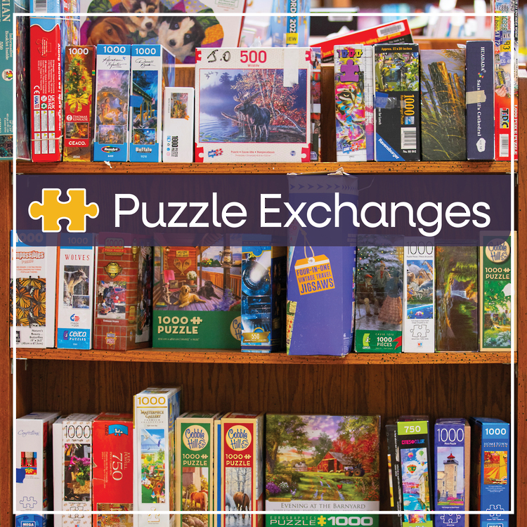 Puzzle boxes on shelves