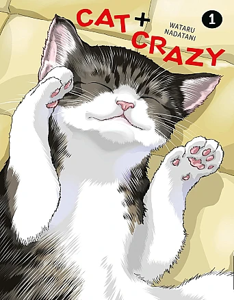 Book Cover for: “Cat + Crazy” by Wataru Nadatani