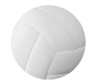 Photo of a Volleyball