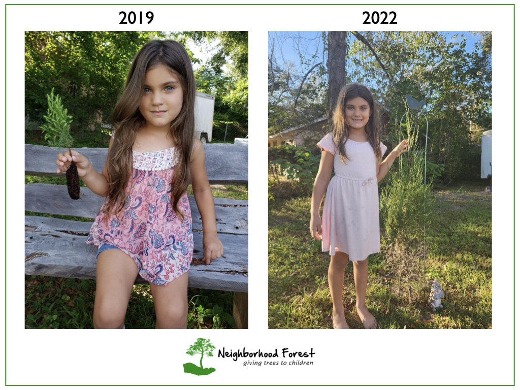 Girl with tree she planted and another showing it's growth