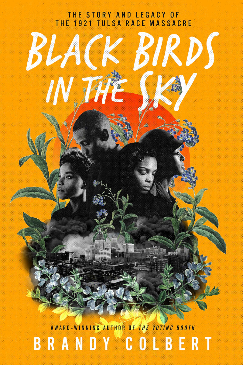 Cover of “Black Birds in the Sky” by Brandy Colbert