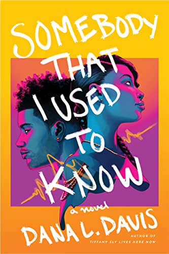 Cover of “Somebody That I Used to Know” by Dana L. Davis