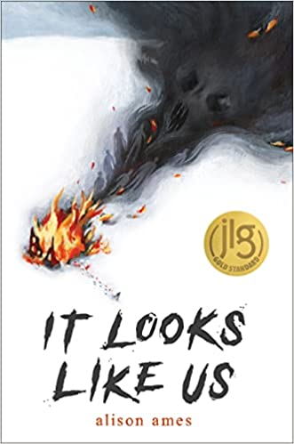 Cover of “It Looks Like Us” by Alison Ames